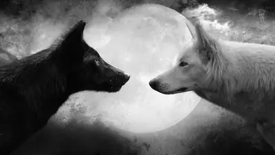 Two wolves inside you meme template