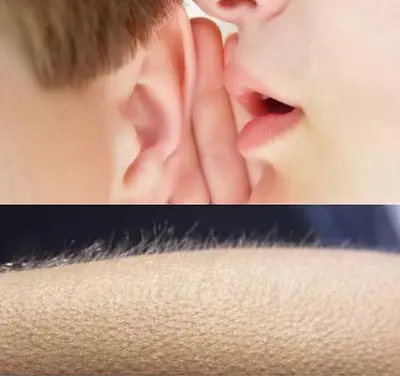Whispering vs goosebumps meme template