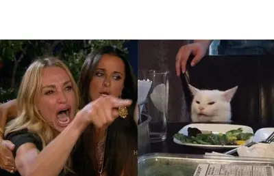 Woman Yelling at a Cat meme template